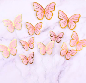 Paper Butterflies